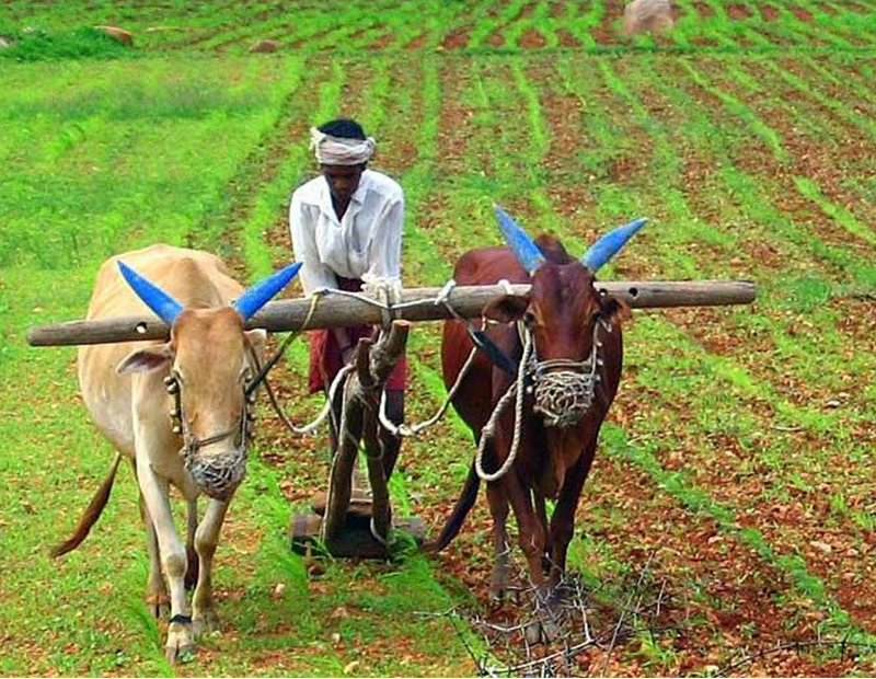 Responsible Consumption & Production